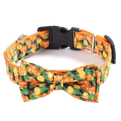 Holiday Collars